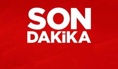 Sırrı Süreyya Önder’den haber var: Çalışmayan kalbinin sağ kısmı…