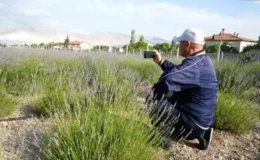 Yeşilburç’ta Lavanta Bahçesiyle Ekonomi ve Turizm Canlanıyor